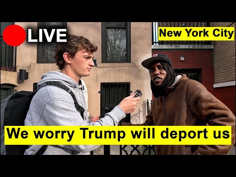 IRL Migrants React to Trump Winning the Election