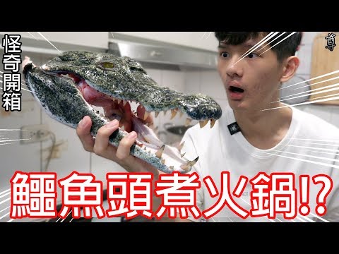 【尊】買了一顆鱷魚頭來煮火鍋!?