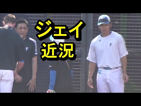 野村佑希、近況（鎌ケ谷）2024.10.2