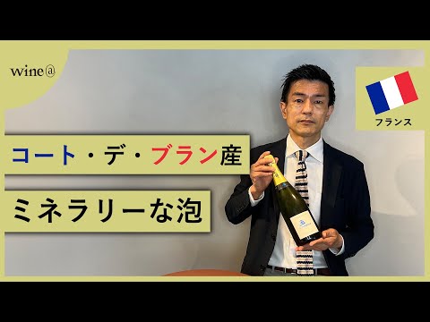 【コート・デ・ブラン発ミネラリーな泡！】ド・スーザ / ブリュット・トラディション（フランス）