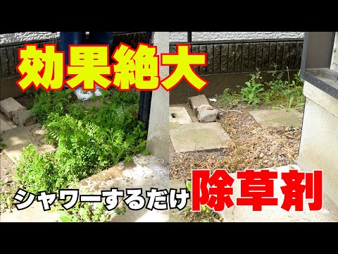 【除草剤・効果検証】撒くだけ簡単！シャワータイプの除草剤ネコソギロングシャワーV9 液体除草剤 ガーデニング園芸用品【雑草対策】