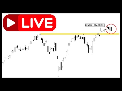 Technical Analysis of Stocks: SPY / QQQ / NVDA / TSLA / AMD / PLTR  +