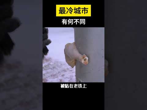 【科技趣闻】最冷城市的生活方式和外界有何不同？ #shorts