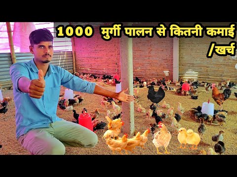 छोटे रूम में 1000 मुर्गी पालन कैसे शुरू करें | 1000 birds poultry farm profit | poultry farming