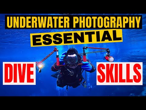 Top 10 Tips for Underwater Photography & Videography Dive Skills!