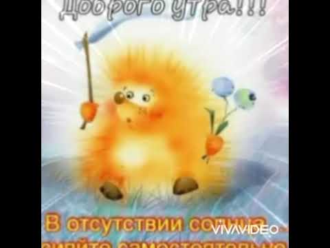 Доброе утро!/🌼🌹С новым днем!/😉🌼🌞