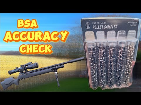 Which Pellets for Accuracy