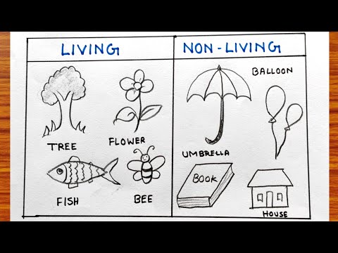 Living and non-living things sketch easy | Non-living things drawing | How to draw living things