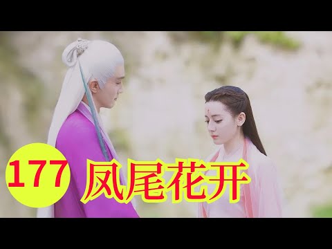 三生三世之凤尾花开177