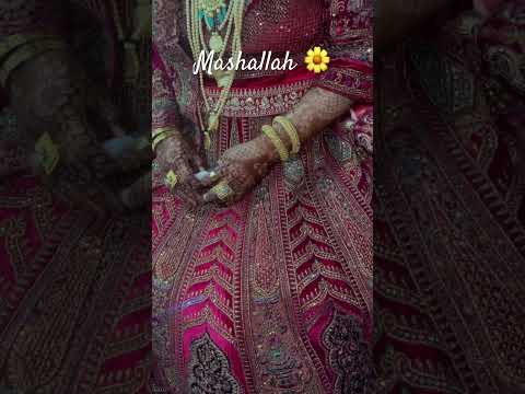 Type mashallah #kashmiriwedding #kashmirisongs #kashmirisong #shortsfeed #shorts #kashmiriculture