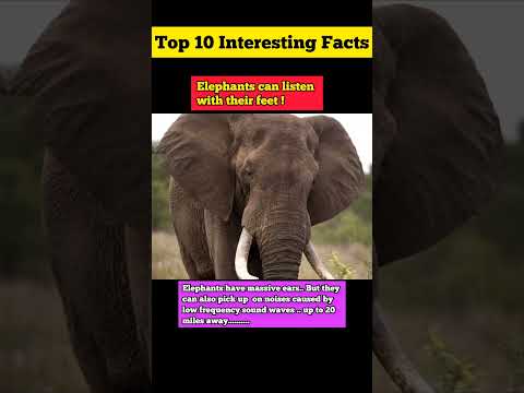 10 amazing facts/Random facts #youtube #shorts