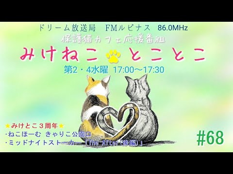 みけねことことこ【第68回】 　2024/11/13放送