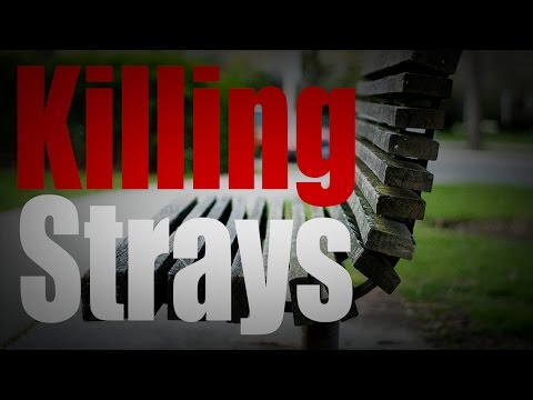 Killing Strays ~ Horror Story ~ Sir Ayme