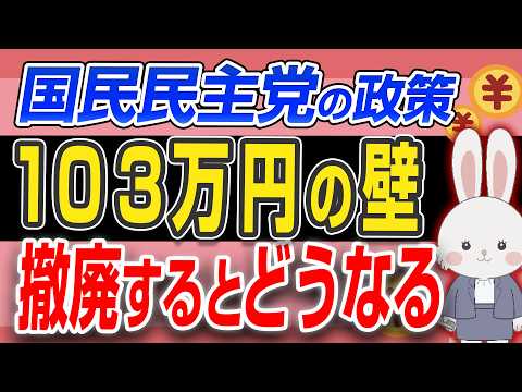 【 103万円の壁 】178万円引上げをすると一体どうなるのか？国民民主党の政策は救世主となるのか詳しく解説！