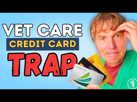 Is Your Vet Care Credit Card Ripping You Off? 30% Interest Outrageous or Justified?