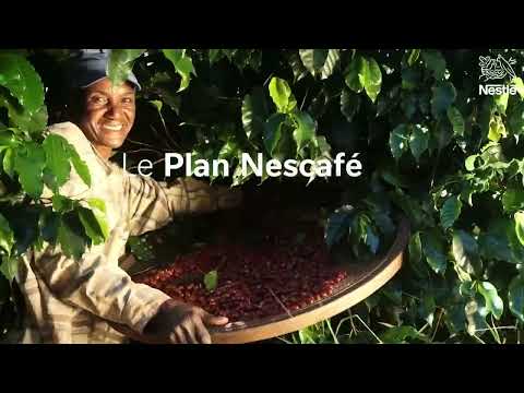 Nescafé Plan 2030 | Nestlé