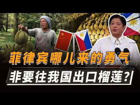 菲律宾飘了！非得往我国出口5.4万吨榴莲，到底谁给他的勇气？