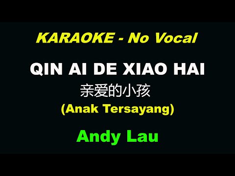 QIN AI DE XIAO HAI 亲爱的小孩  - Andy Lau [KARAOKE] No Vocal