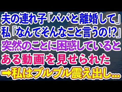 【スカッとする話】夫の連れ子「パパと離婚して」私「なんでそんなこと言うの！？」突然のことに困惑していると、ある動画を見せられた。→私はブルブル震え出し...【感動する話】