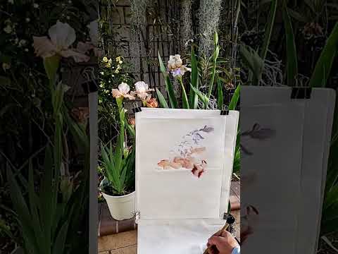 Two Iris Flowers - backyard plein air painting