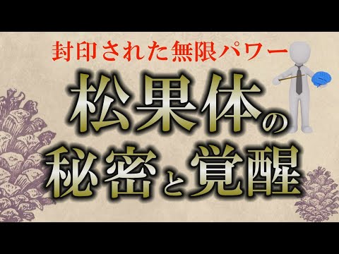 【松果体】大きさ８㎜の隠された無限パワー｜なぜ松果体は石灰化するのか？【第三の目】