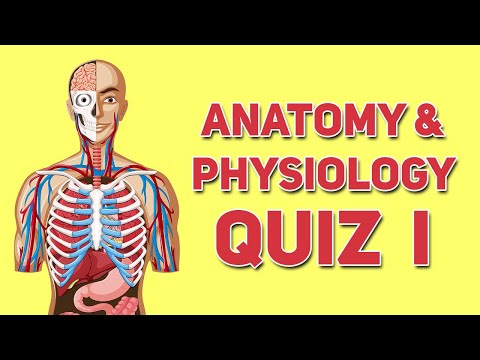 Anatomy and Physiology Quiz ( Part 1 )