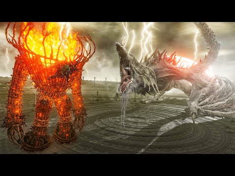 Can ANY DLC Boss Survive Elder Dragon Greyoll? - Elden Ring Shadow Of The Erdtree