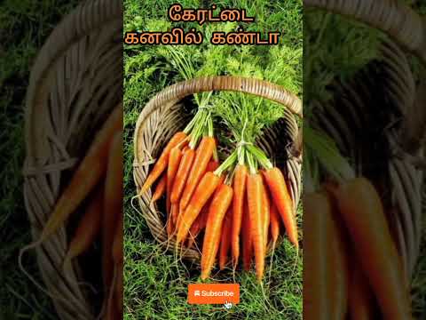 கேரட்டைக் கனவில் கண்டால் | carrot in dream | dream interpretation in tamil #dream