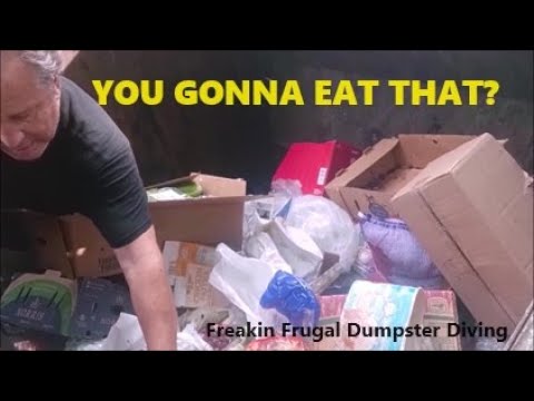 You Gonna Eat That?  Dumpster Diving at ALDI for Some More Beautiful Free Food!