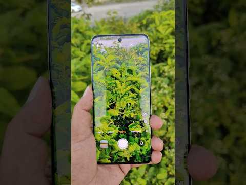 Realme 13 Pro Plus Crystal Clear Amoled Display #realme13proplus