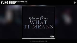 Yung Bleu - What It Means (Official Audio)