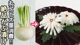 「菊花かぶ」もむだけで完成！スピーディーに作れる菊花かぶの作り方・漬け込み時間短縮・茎と皮の簡単レシピも紹介・作り置き・お正月料理・菊花かぶら