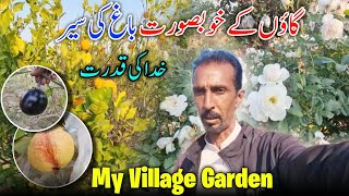 My Village Garden 😍✨ Allah Ki Qudrat Kay Nazary || Family Vlog