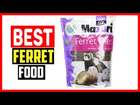 ✅Best Ferret Food in 2023