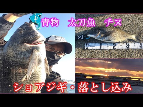 青物、タチウオ、チヌ黒鯛狙い　大阪湾　ショアジギングと落とし込み釣り（フジツボ採り）