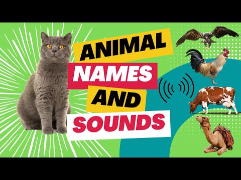 Animal Names and Sounds for Kids Learning | Educational Video for Kids