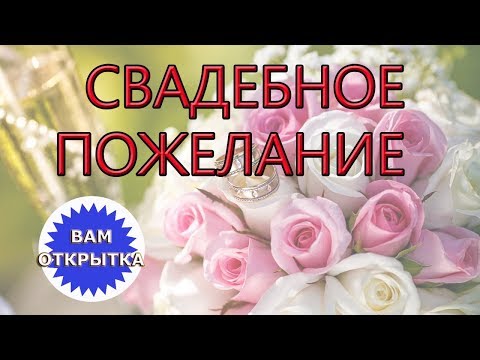 Добрые и пожелания для молодожёнов. Оригинальное видео поздравление с Днём свадьбы.