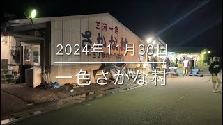 【ひみ寒ぶり宣言】市場に氷見ブリ到来『一色さかな村』遂にこの時期が来た‼︎