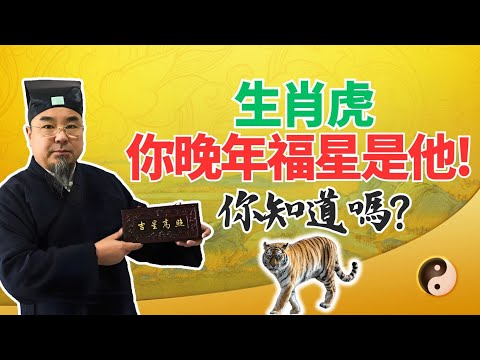 命運大揭密：生肖虎，你的晚年福星竟然是他！你知道嗎？屬虎人必看！ #2025年生肖虎運勢 #2025年生肖虎運程 #2025年屬虎運勢 #2025年屬虎運程 #2025年乙巳蛇年