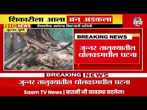 Marathi News | Junnar Leopard News: शिकारीला आलेला बिबट्या पिंजऱ्यात अडकला!