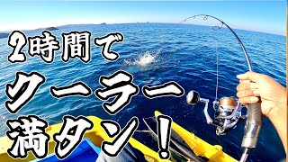 釣れ過ぎたので2時間で終了！こんな日もあるボート釣り！