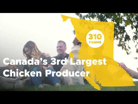 2022 BC Chicken 60th Anniversary - Full Version