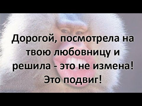 Юмор.Анекдоты.Любовница - это туалет...Цитаты.Афоризмы.