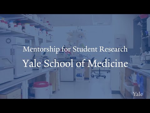 What Is The Role of Mentorship In Student Research?