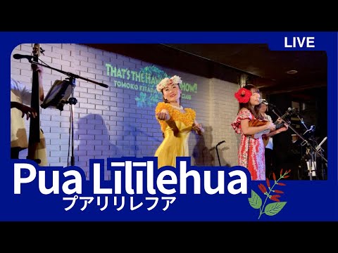 【Pua Lililehua プアリリレフア】＠横浜サムズアップ ワンマンライブ② ハワイアンショー