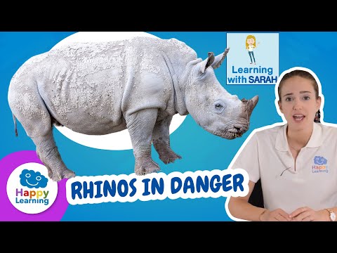 RHINOS IN DANGER | LEARN WITH SARAH| Happy Learning 🦏🏥