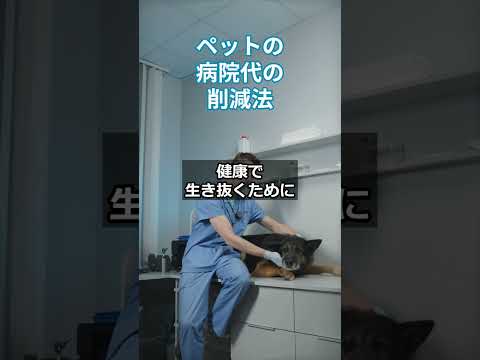 ペットの病院代の削減法　#更年期 #自律神経 #健康生活