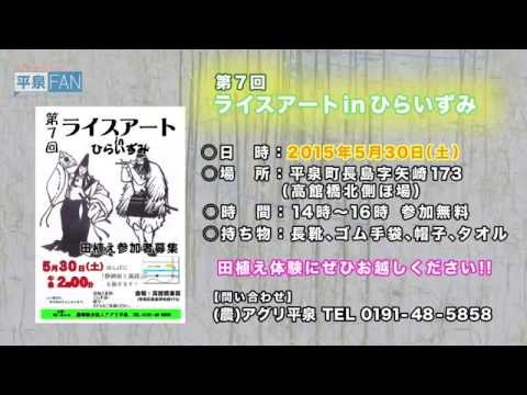 【世界遺産平泉】NEWS#10 ライスアート測量ピン打ち_H27.5.25up