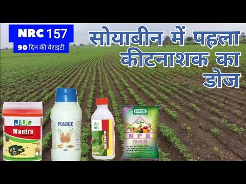 NRC 157🌱सोयाबीन में पहला इंसेक्टिसाइड का डोज। thiamethoxam chlorpyriphos  tebuconazole + sulphur