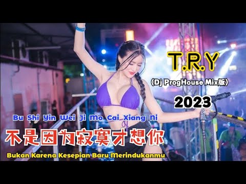 T.R.Y - 不是因为寂寞才想你 (Dj ProgHouse Mix版) Bu Shi Yin Wei Ji Mo Cai Xiang Ni - Lirik Terjemahan Indonesia